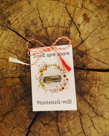 Plantisor - martisor cu seminte de flori Scara spre soare [0]