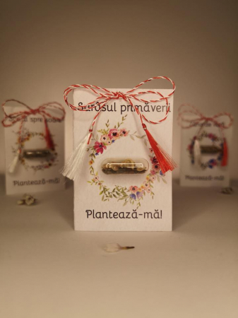 Plantisor - martisor cu seminte de flori Surasul primaverii [1]