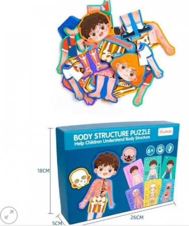 Puzzle anatomie ce infatiseaza corpul uman baiat - limba romana [3]