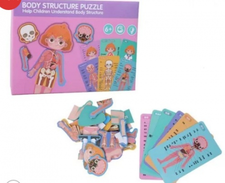 Puzzle anatomie ce infatiseaza corpul uman fetita - limba romana [1]