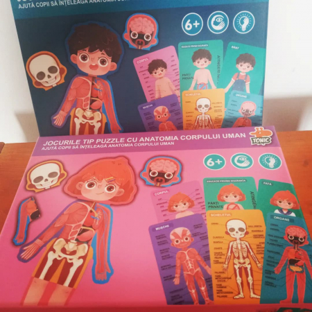 Puzzle anatomie ce infatiseaza corpul uman baiat - limba romana [1]
