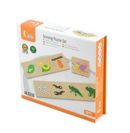 Puzzle sortator evolutie - Viga [2]