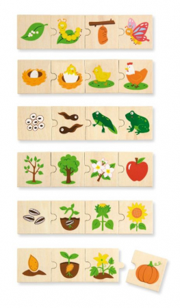 Cu fructe si legume - Puzzle sortator evolutie - Viga
