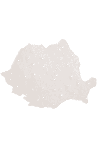 Adezivi, ustensile, baze - Sablon Romania