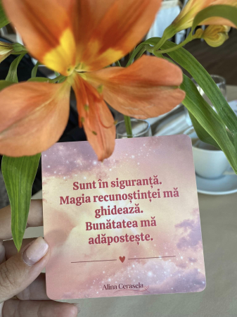 Setul bucuriei - contine Cartolinele Recunostintei si bunatatii [4]