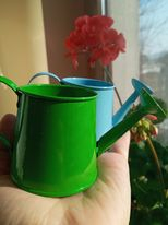 Stropitoare decoratiune [1]