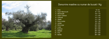 Masline Kalamata fara samburi 360 g FOS [3]