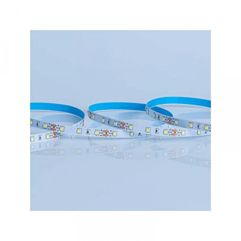 Iluminat - Banda LED dimabila 12V Eurolamp VALUE, 4.8W/ml, 70lm/W, 6500K lumina rece, SMD 3528, 60LED/ml, latime 8mm, IP20 (rola 5m)