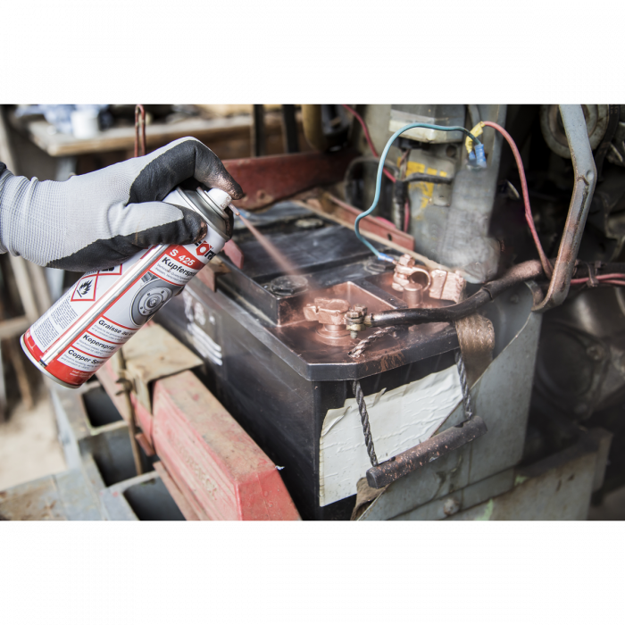 accesoriu-electric [3]