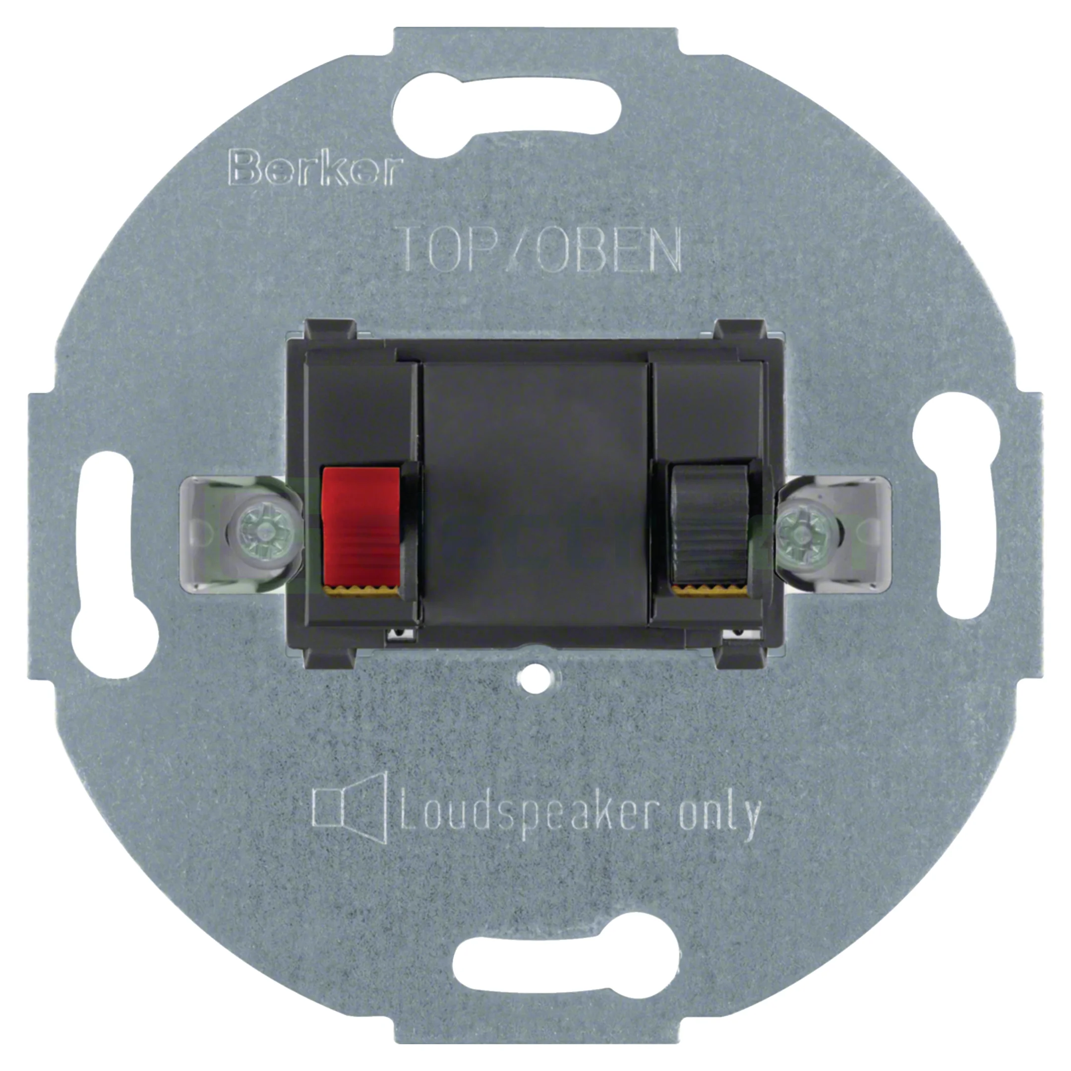 Prize multimedia (radio-TV, date, video) - Adaptor de conectare pentru boxe, antracit mat, Berker R/1930/sticlă, 457205