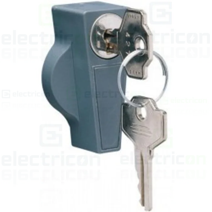 Accesorii Dulapuri de măsurare - Încuietoare mâner 2 chei dulapuri Orion Hager FL96Z