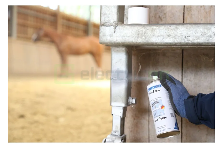 accesoriu-electric [4]