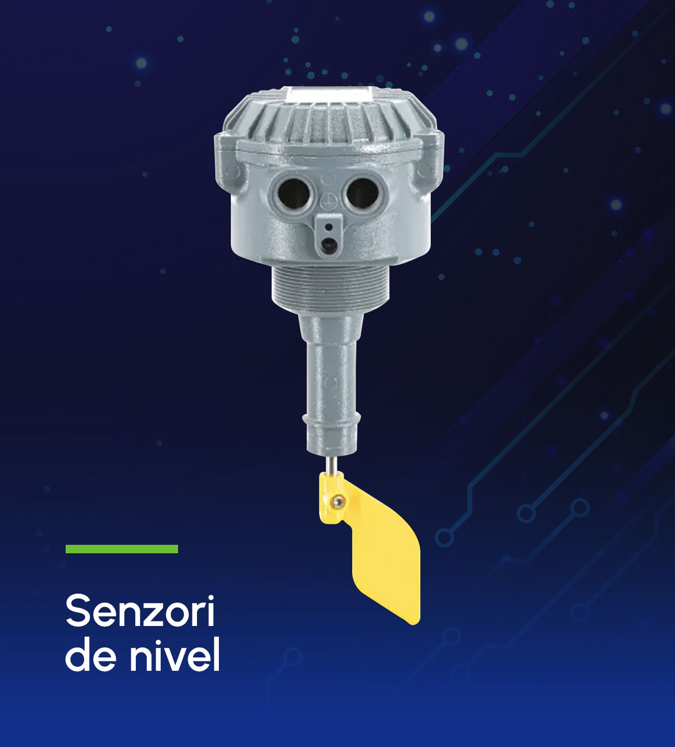 Sanzori de nivel