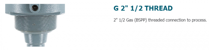PFG05C-11, PFG052-GH3NN015006-1CP0TF, senzor de nivel, lungime tija 169 mm, paleta AC4PLA1, 24 VDC [3]