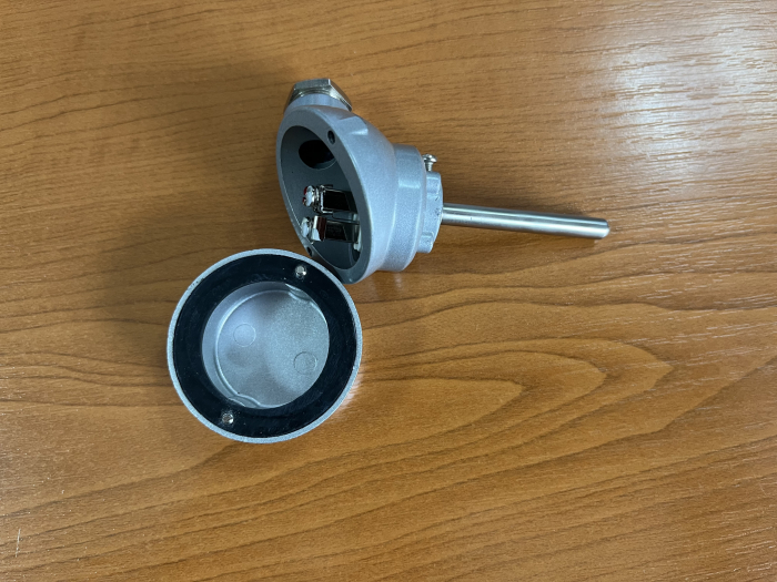 TTR-PT-100-8-250-G1, Termorezistenta Pt100, diametru Ø 6mm, lungime teaca 50mm, conector G1/2 , T -50..300 grade [3]