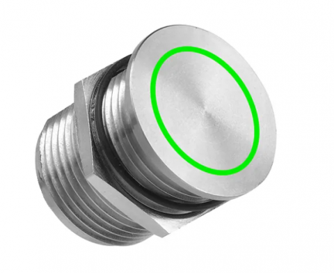 Butoane si accesorii - BPSSN19PGFG0, buton iluminat verde, metalic, 24 V AC/DC