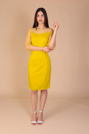 Rochie VERONA din Tafta Subtire si Plasa cu Perle [1]