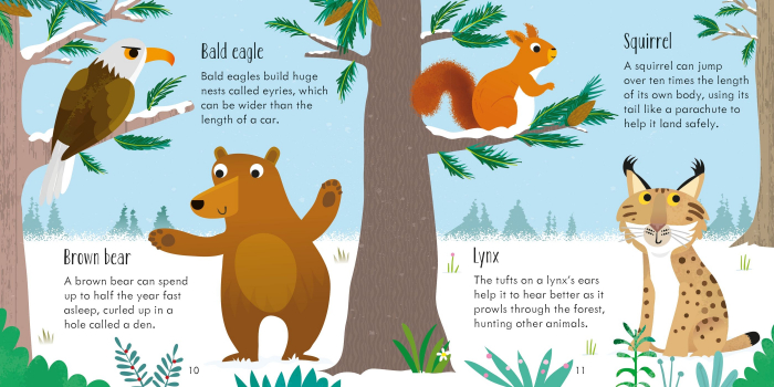 Animal Matching Games [4]