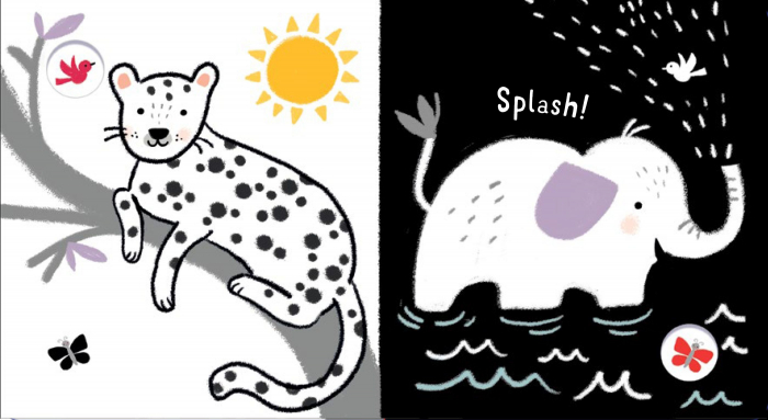 Animals Black & White [2]