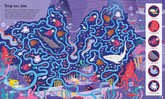 Book and Jigsaw Under the Sea Maze [3]