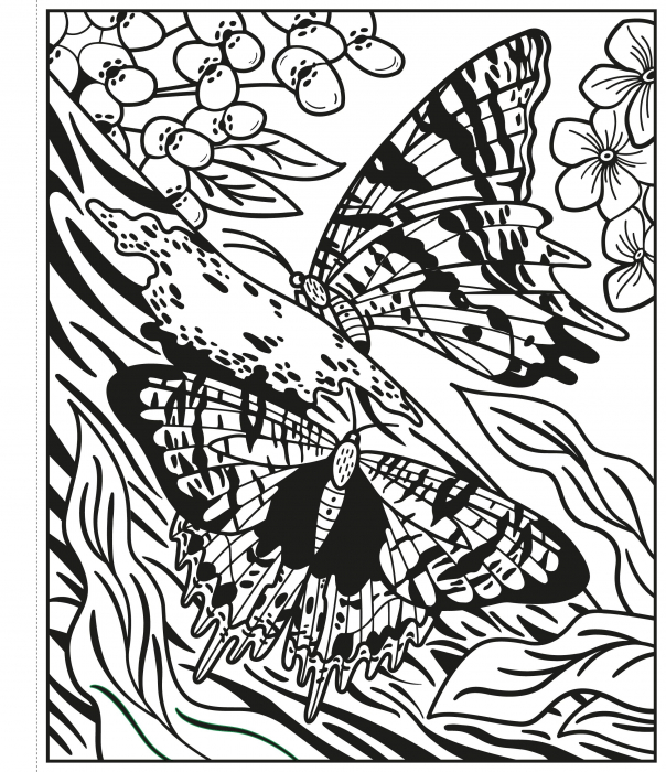 Butterflies Magic Painting Book [4]