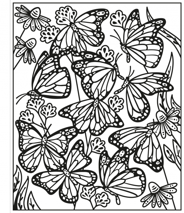 Butterflies Magic Painting Book [3]