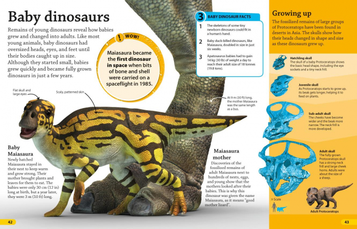 DKfindout! Dinosaurs [4]