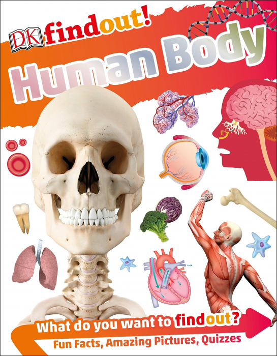 DKfindout! Human Body [1]