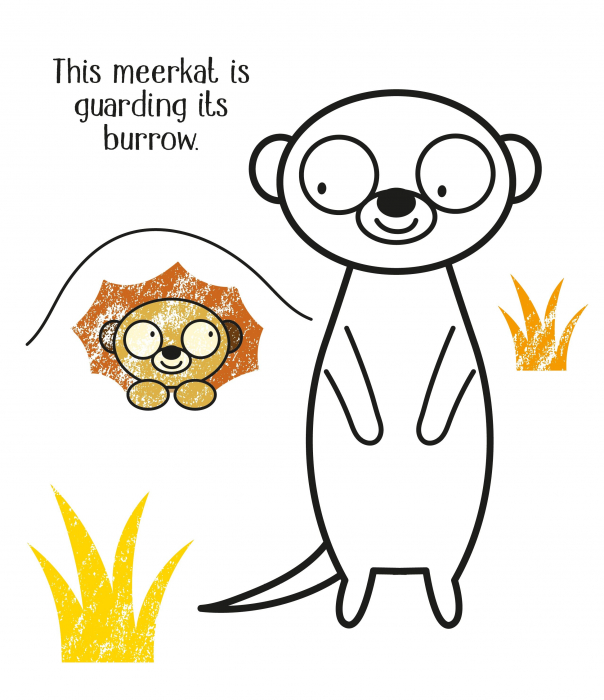 First Colouring Zoo Animals [2]