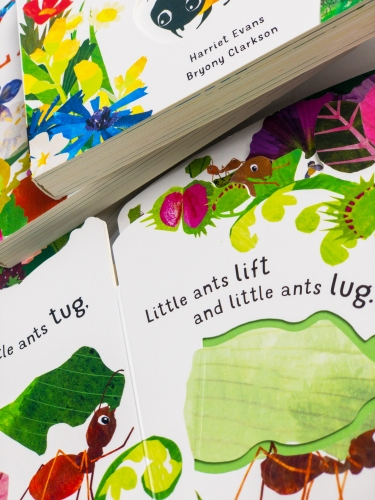 First Nature 4 Books Childrens Collection Set (Ant, Bee, Caterpillar & Ladybird) [3]