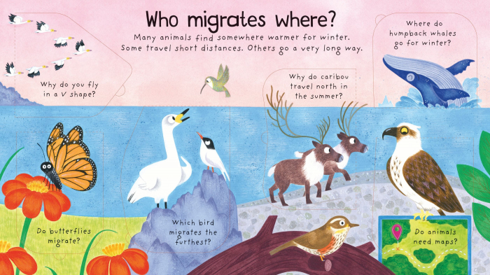 First Questions and Answers: Where Do Animals Go In Winter? [4]