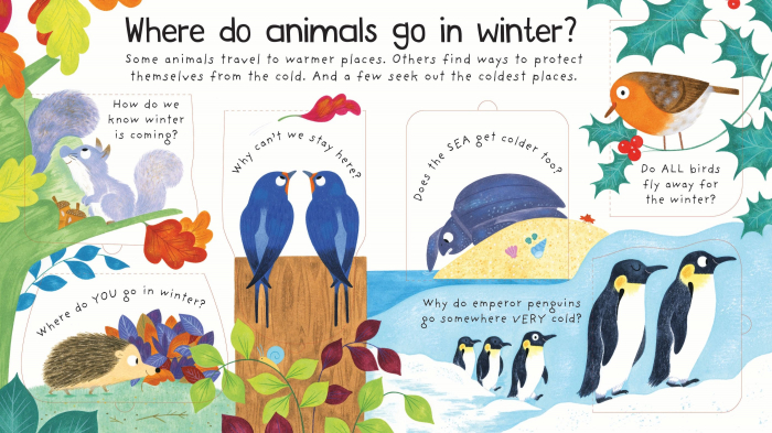 First Questions and Answers: Where Do Animals Go In Winter? [2]