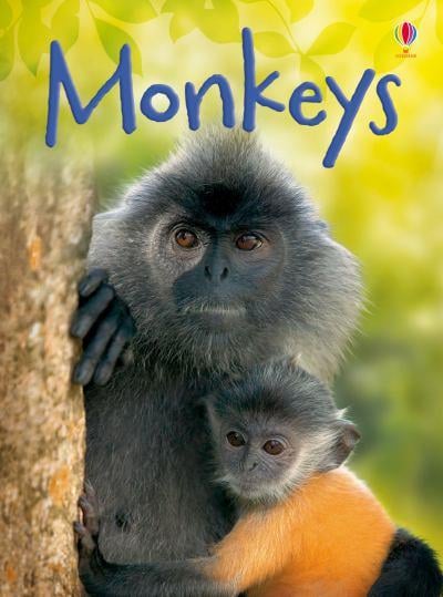 Monkeys [1]
