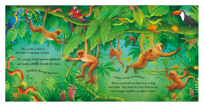 Pop-Up Animals [3]