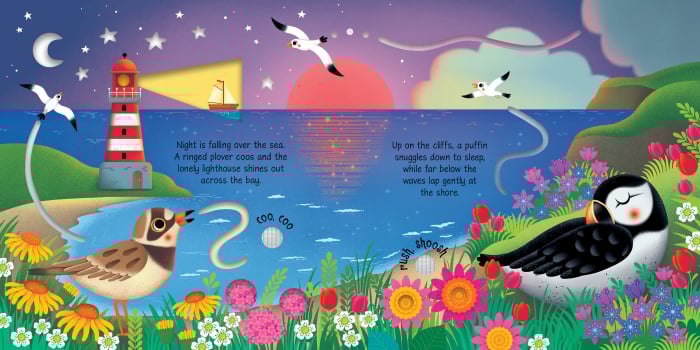 Seashore Sounds [3]