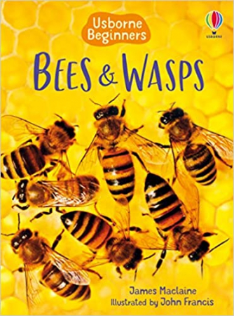 Dupa tematica - Bees and Wasps