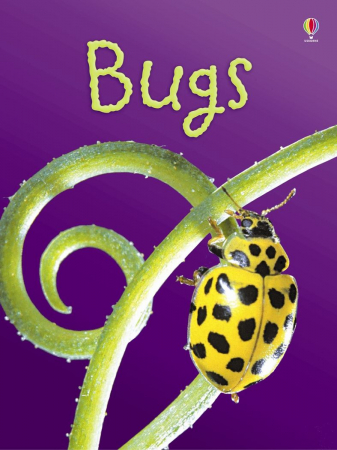 Carti in limba engleza - Bugs