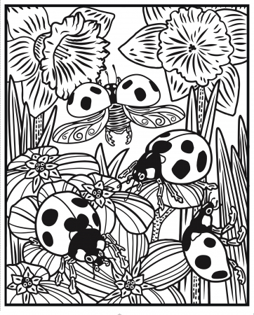 Bugs Magic Painting Book [2]