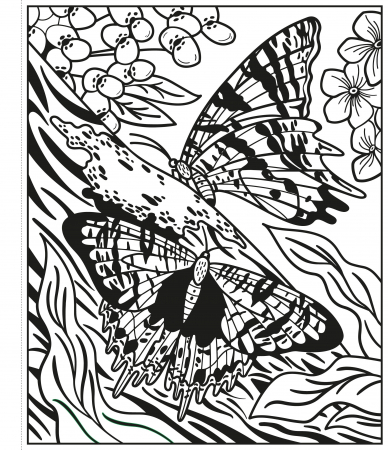 Butterflies Magic Painting Book [3]