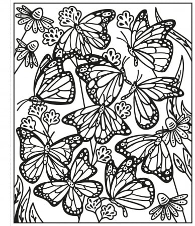 Butterflies Magic Painting Book [2]