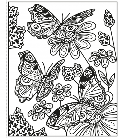 Butterflies Magic Painting Book [1]
