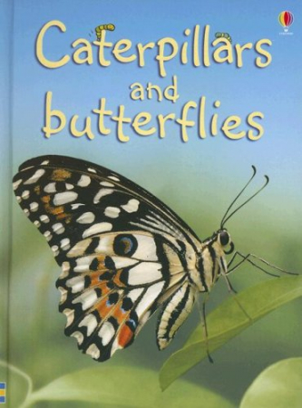 Dupa tematica - Caterpillars and Butterflies