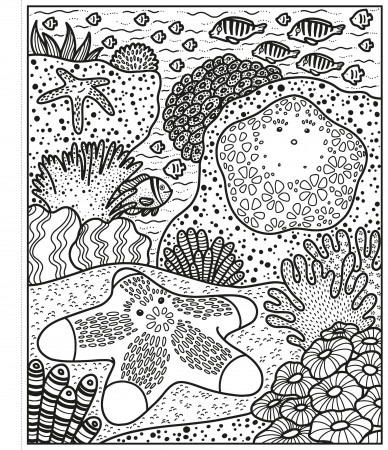 Coral Reef Magic Painting Book [1]