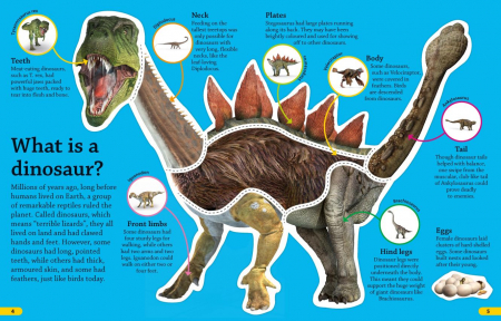 DKfindout! Dinosaurs [1]