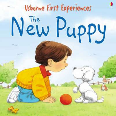 First Experiences: The New Puppy mini edition