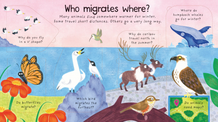 First Questions and Answers: Where Do Animals Go In Winter? [3]