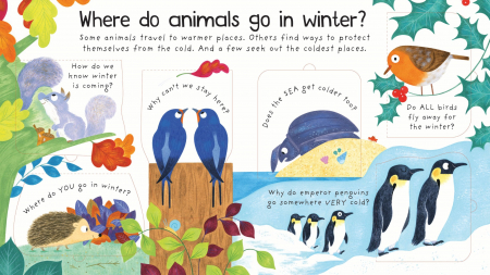 First Questions and Answers: Where Do Animals Go In Winter? [1]