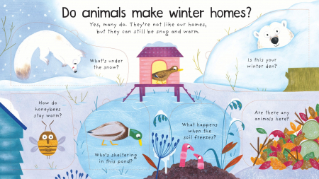 First Questions and Answers: Where Do Animals Go In Winter? [2]