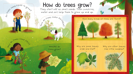 First Questions and Answers: Why do we need trees? [2]