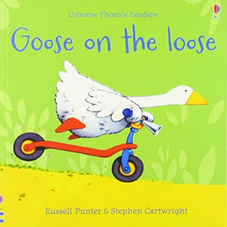 0-3 ani - Goose on the loose